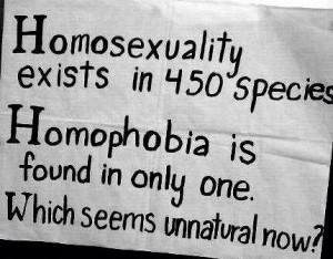 Homophobia